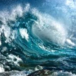 Meet your Posher, Randome